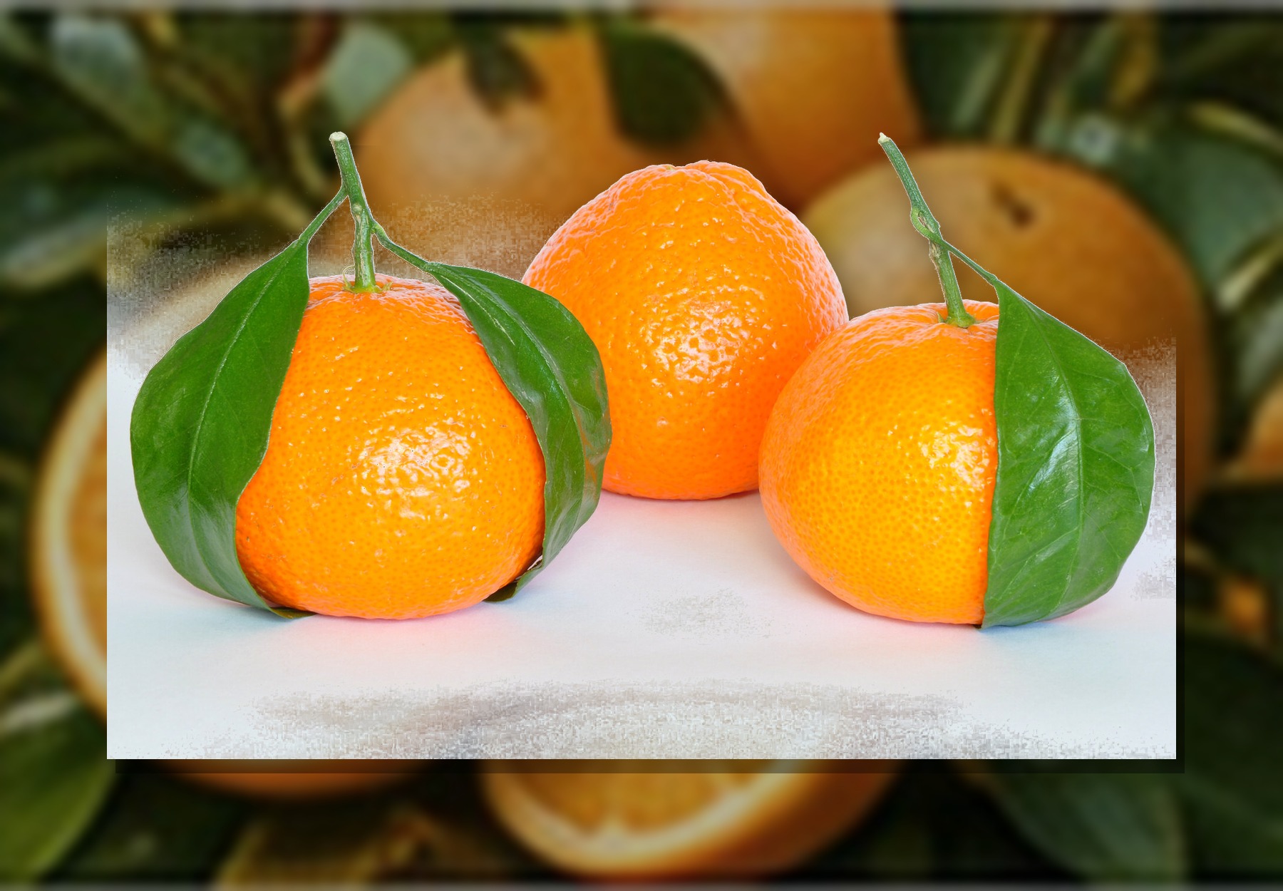 Egyptian Mandarins