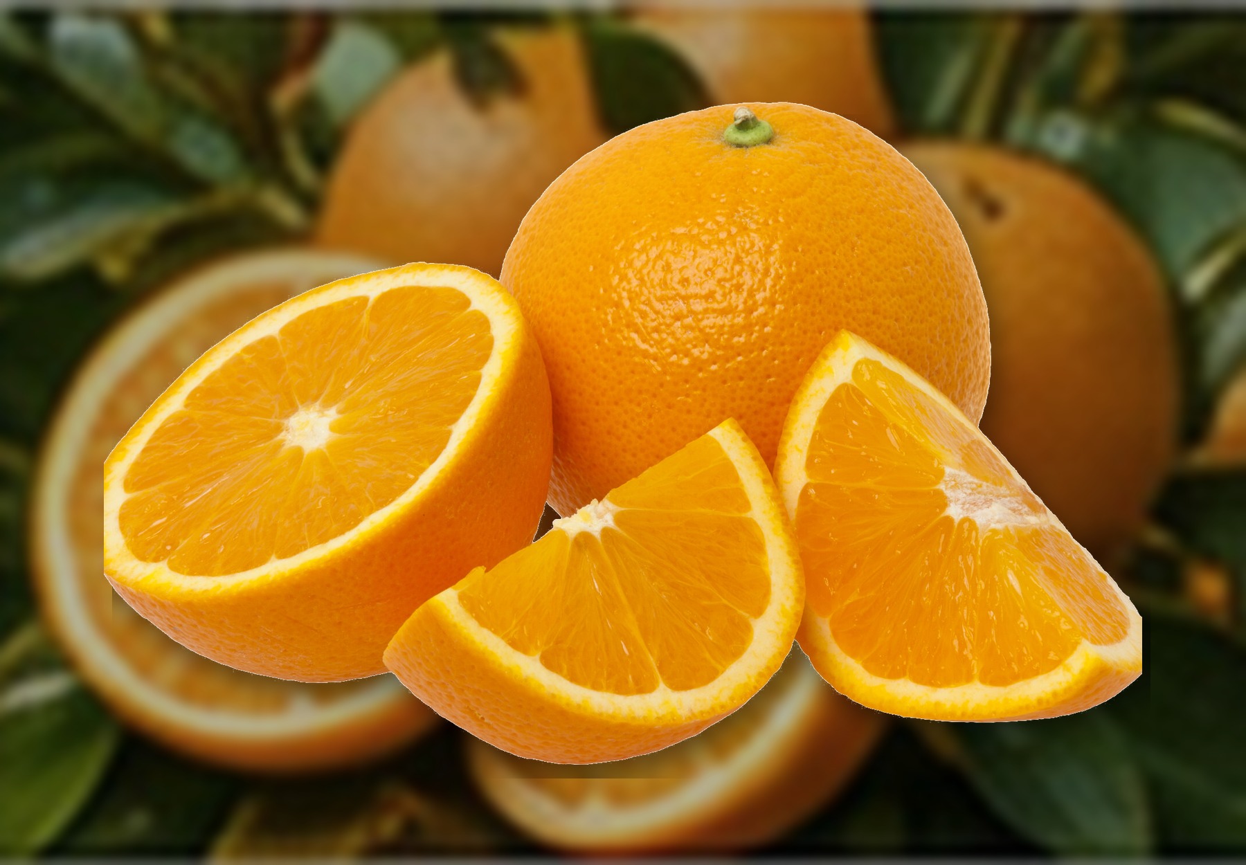 Egyptian Navel Oranges