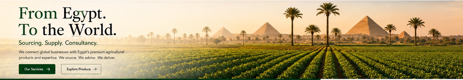 Egyptian agricultural fields