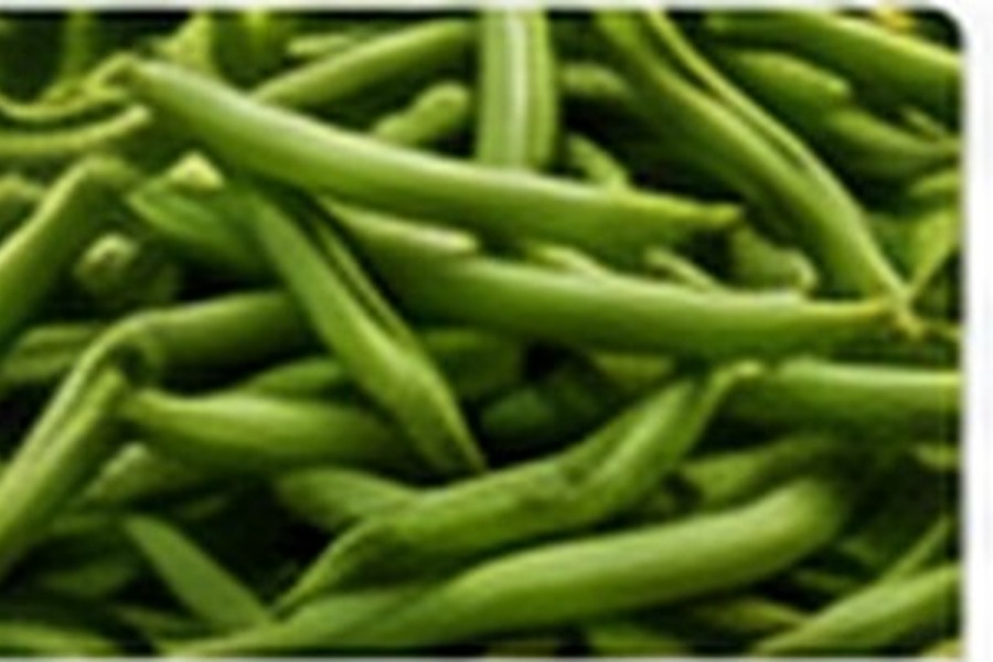Egyptian Green Beans