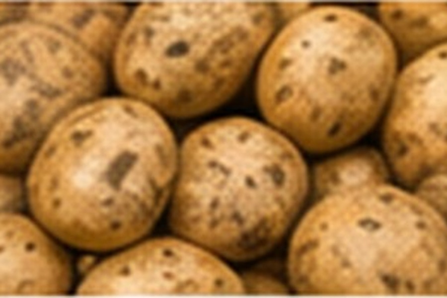 Egyptian potatoes