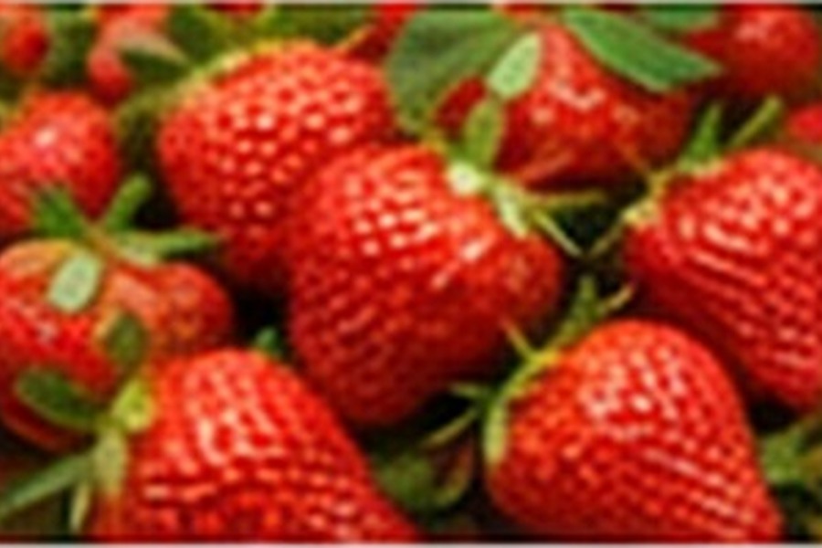 Egyptian strawberries