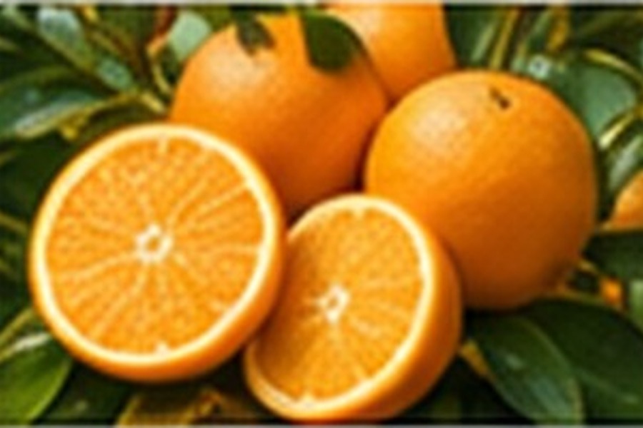 Egyptian oranges