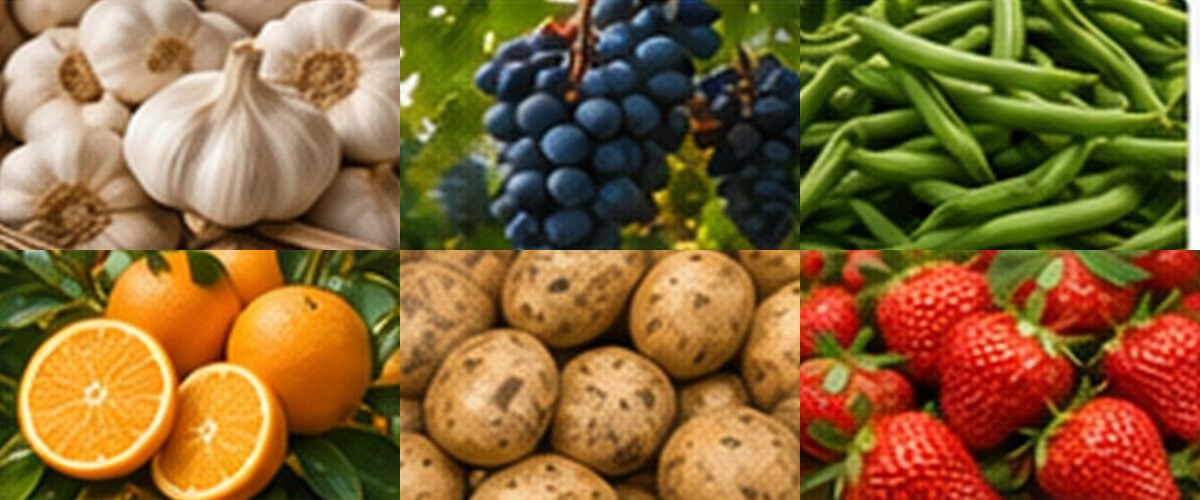 Selection of agricultural produce